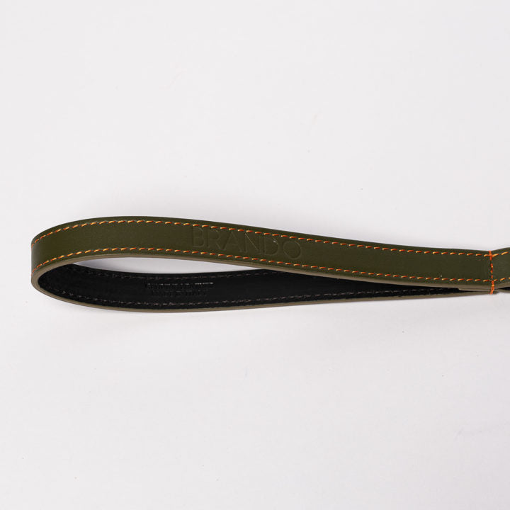 Green & Orange Braid Leash