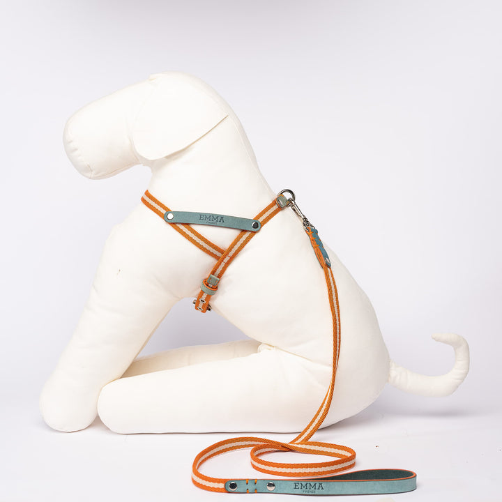 Nubuck Celestial harness