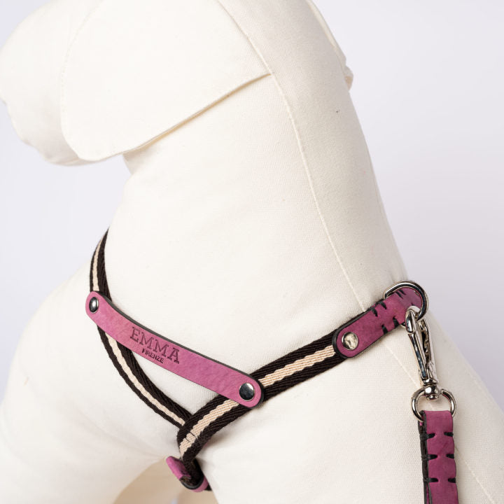 Nubuck Fucsia harness