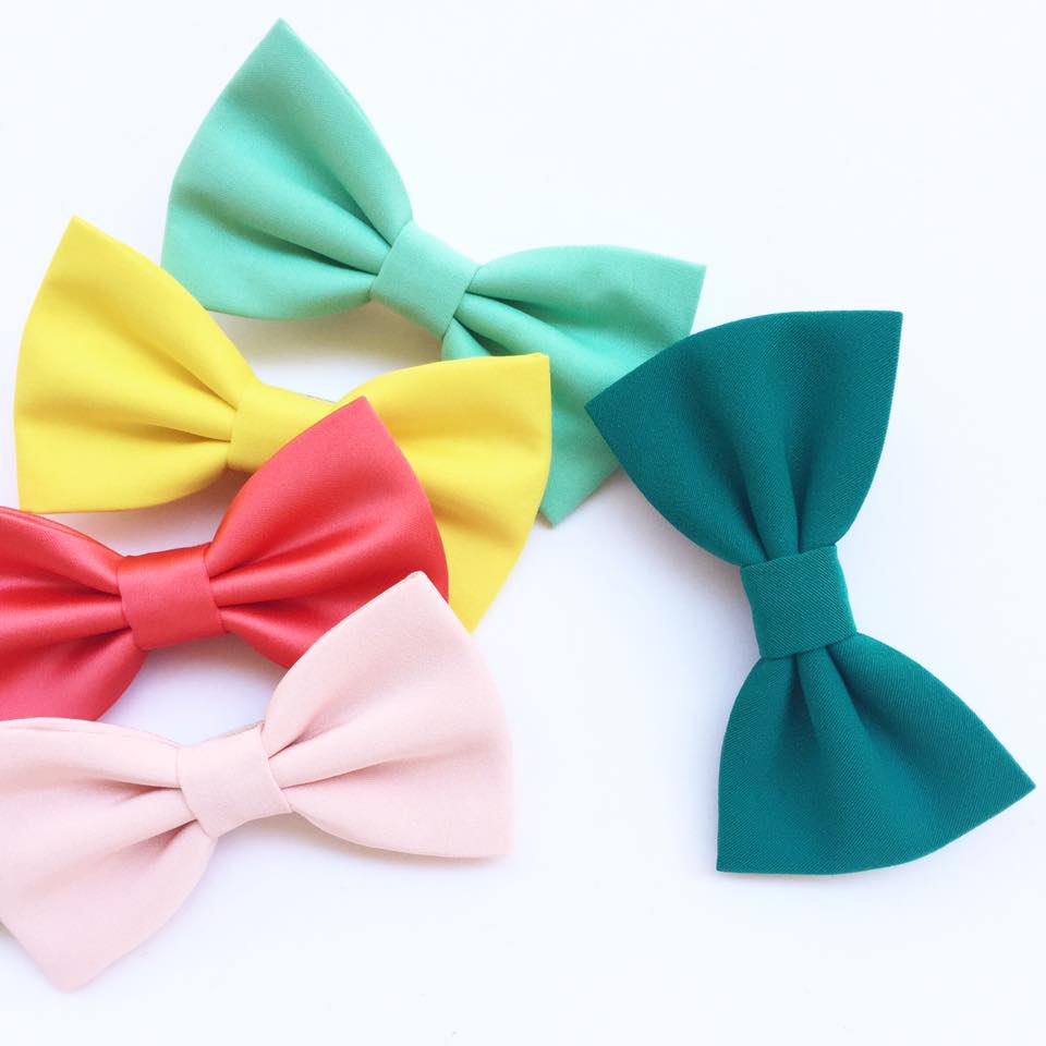 Elegant colorful bow ties
