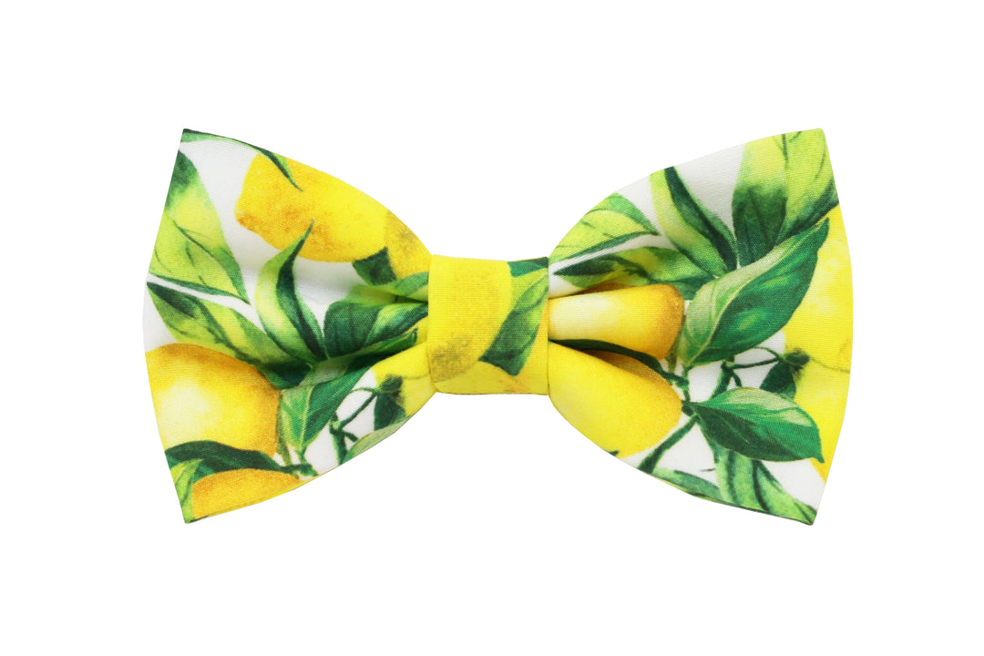 Made in Italy Limited Edition Lemon Handmade Papillon Bow Tie - Ariel's Vibes