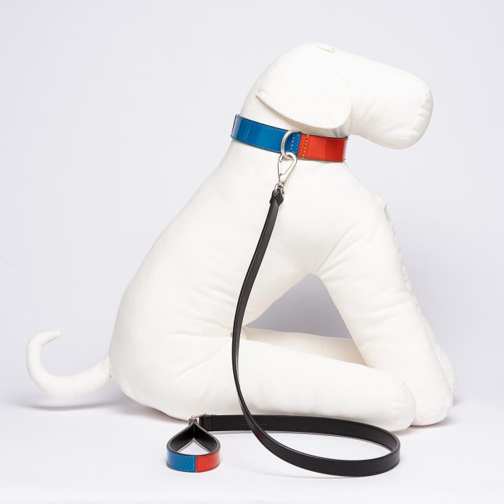 Red Blue Leather Rugby Leash
