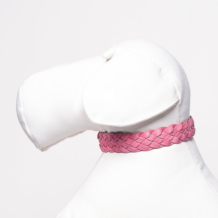 Yellow & Pink Braid Collar