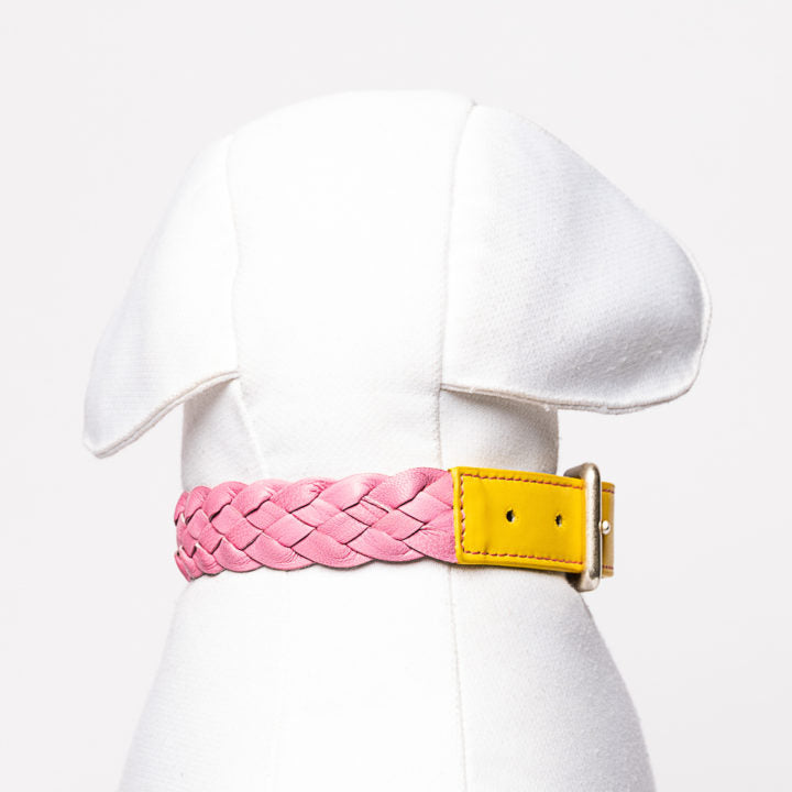 Yellow & Pink Braid Collar