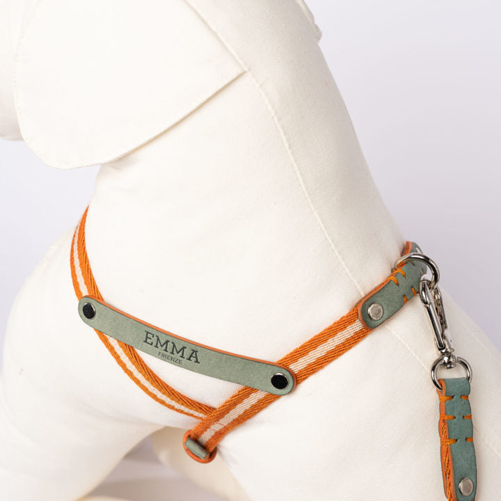Nubuck Celestial harness